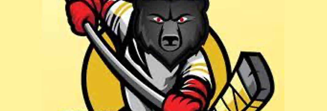 Black Bears Sports Group Launches DuPage Black Bears Boys and Girls Youth Hockey